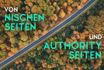 Von Nischenseiten und Authority Seiten
