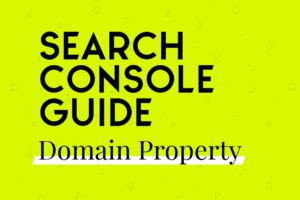 search console domain property dns bestätigung