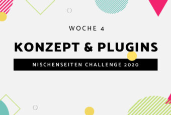 #4 – Nischenseiten Challenge 2020 // Konzept & Plugins