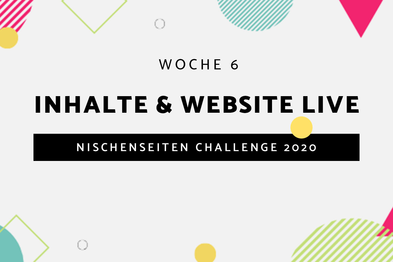 #6 – Nischenseiten Challenge 2020 // Inhalte & Website live