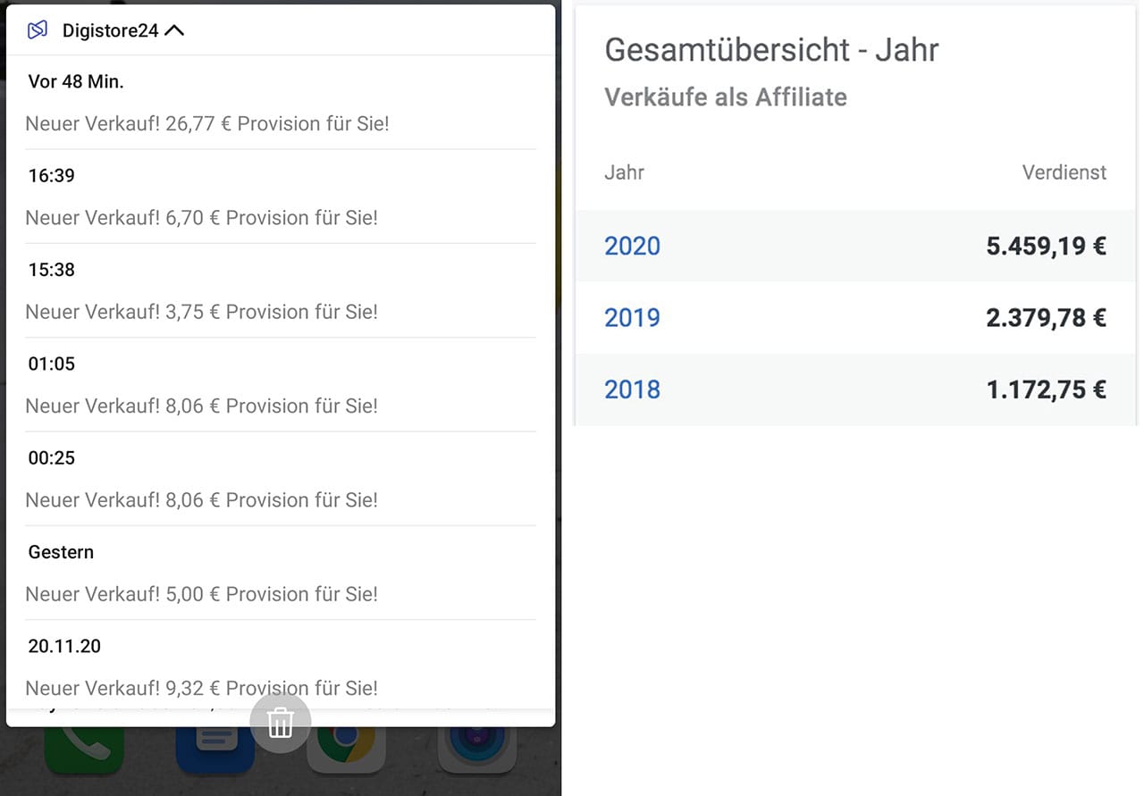 Digistore24 Einnahmen