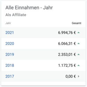 Digistore24 Einnahmen