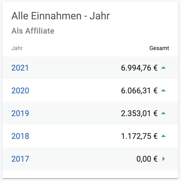 Digistore24 Einnahmen